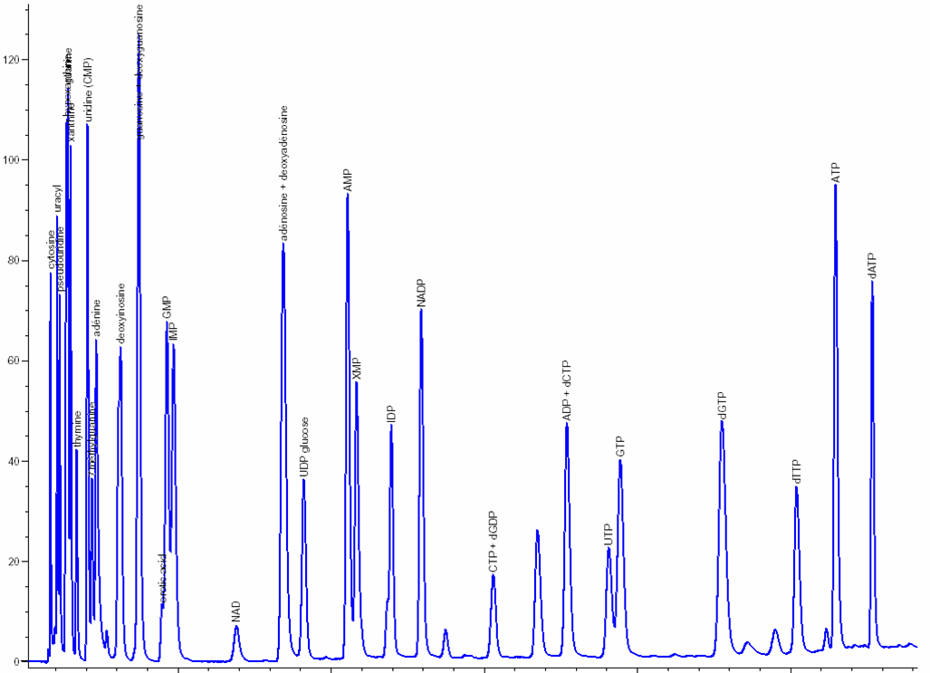 Separation by ion-pairing HPLC