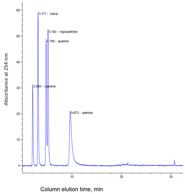 Chromatogram of heterocyclic bases separated by reverse-phase HPLC